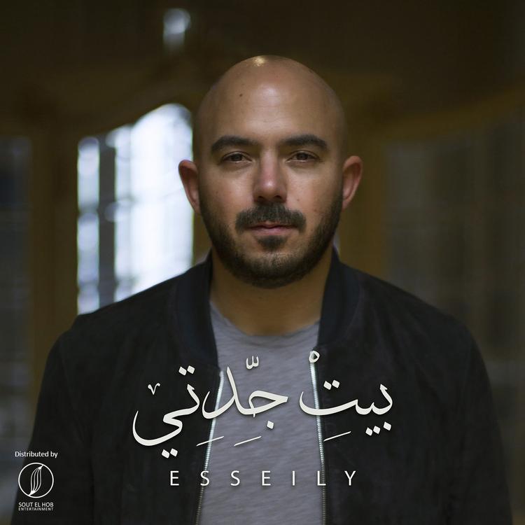 Mahmoud El Esseily's avatar image