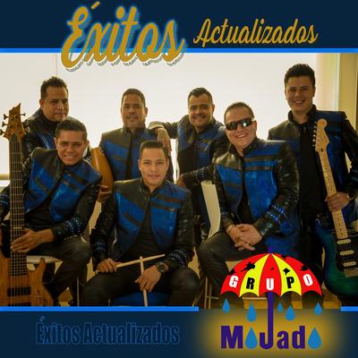 Exitos Actualizados's cover