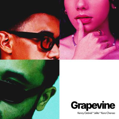 Grapevine's cover