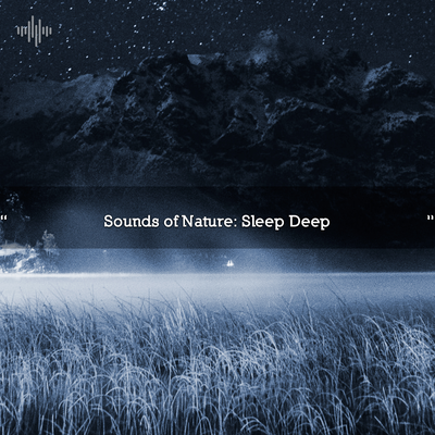 Forest Sounds For Sleep's cover