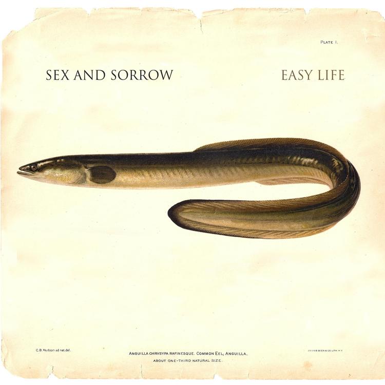 sex and sorrow's avatar image
