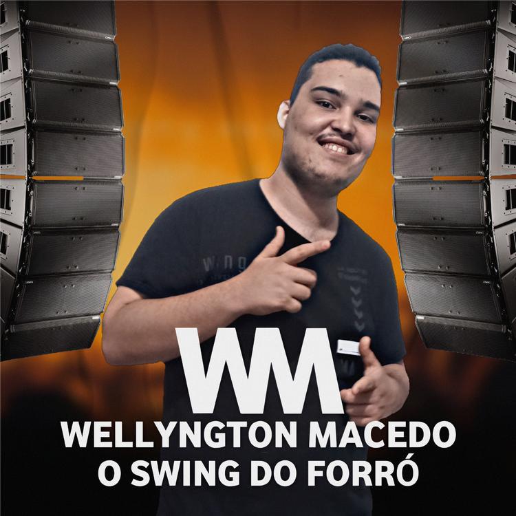 Wellyngton Macedo O Swing do Forró's avatar image