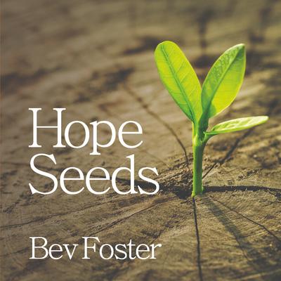 Set Our Hearts on Hope By Bev Foster's cover