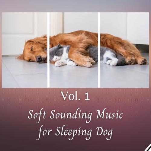 Reiki music for store dogs