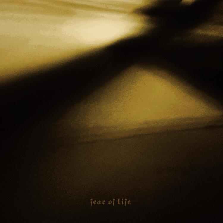Fear of Life's avatar image