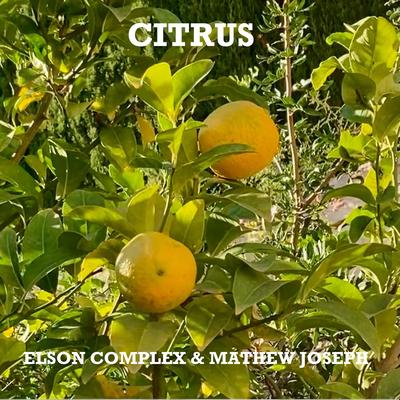 Citrus By Elson Complex, Mathew Joseph's cover