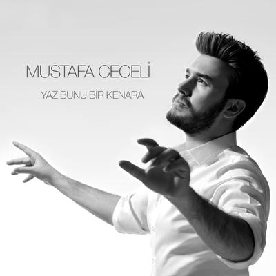 Yaz Bunu Bir Kenara's cover