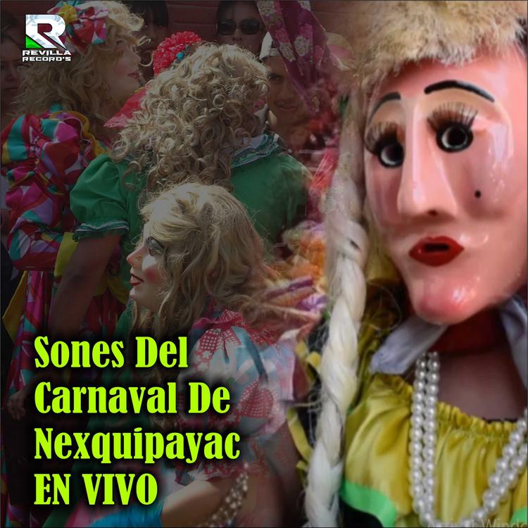 SONES DEL CARNAVAL DE NEXQUIPAYAC's avatar image
