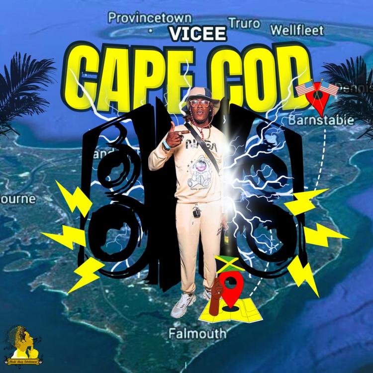 Vicee's avatar image