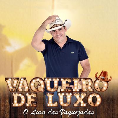 Passe Livre (Cover) By Vaqueiro De Luxo's cover