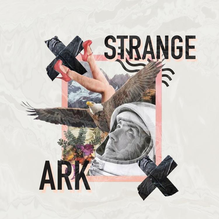 ARK's avatar image