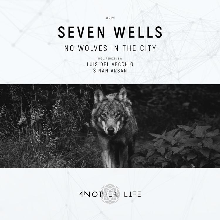 Seven Wells's avatar image