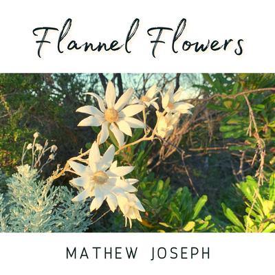 Flannel Flowers By Mathew Joseph's cover
