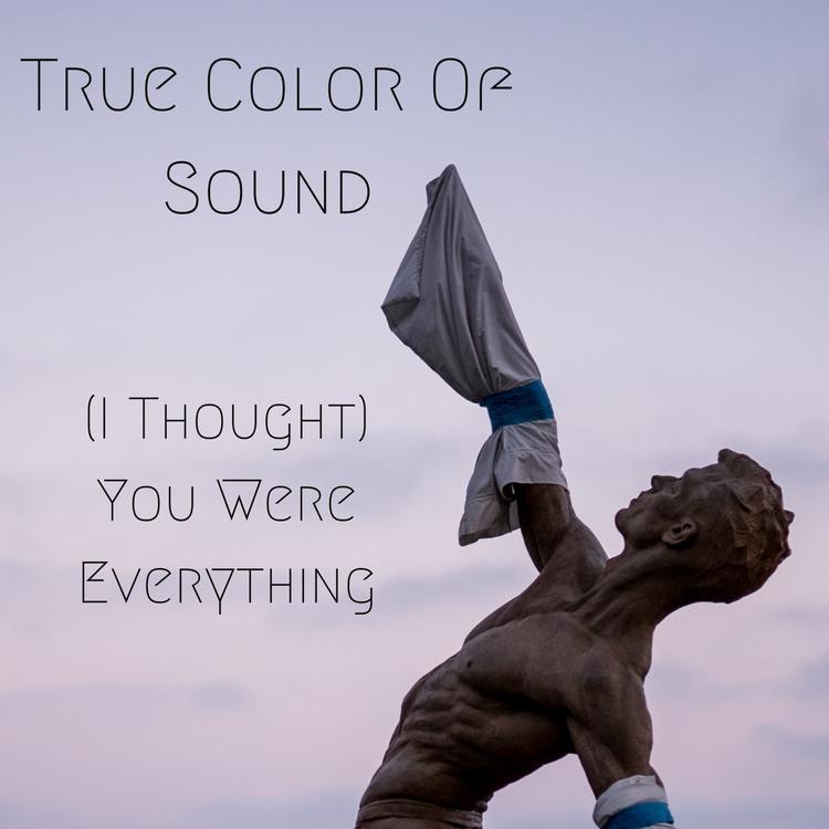 True Color Of Sound's avatar image