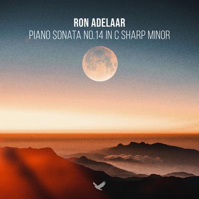 Piano Sonata No. 14 in C-Sharp Minor, Op. 27 No. 2, "Mondscheinsonate": I. Adagio Sostenuto By Ron Adelaar's cover