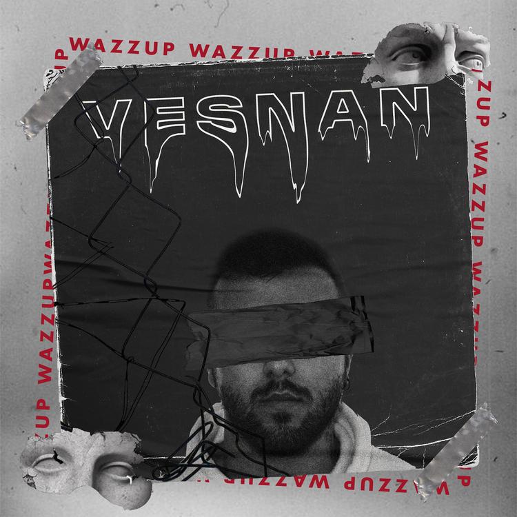 Vesnan's avatar image