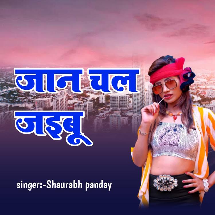 Shaurabh Panday's avatar image