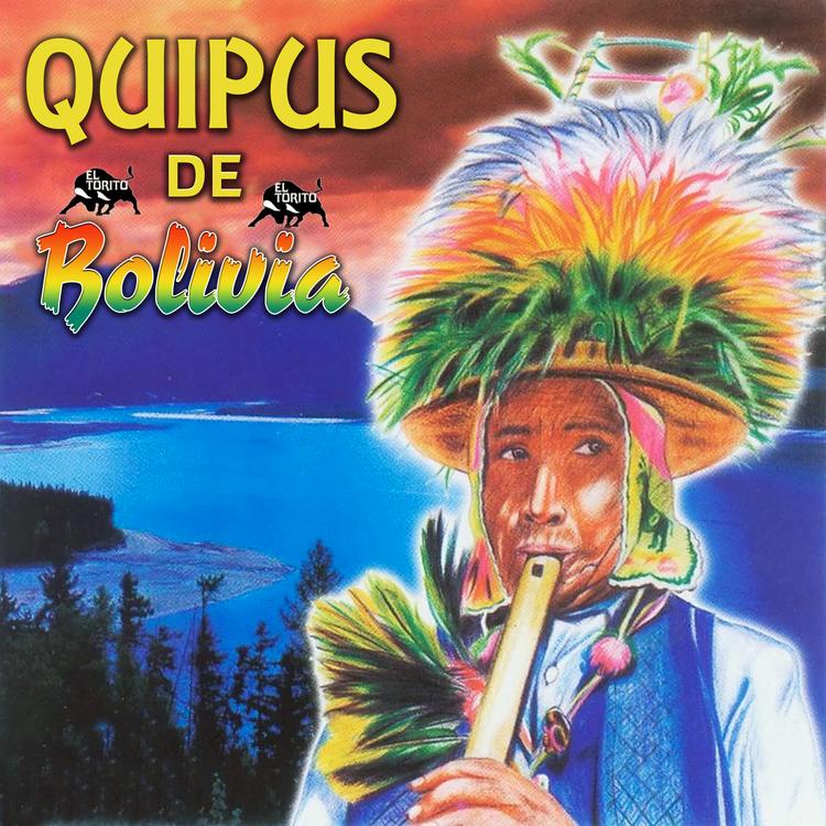 Quipus de Bolivia's avatar image