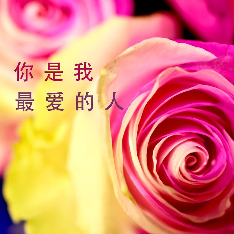 刘佳兴's avatar image
