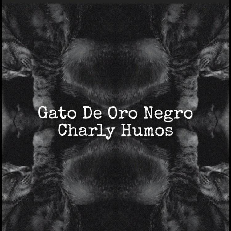Charly Humos's avatar image