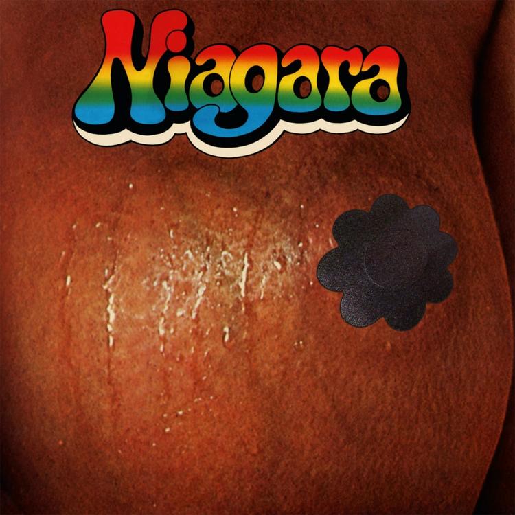 Niagara's avatar image