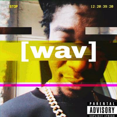 wav's cover