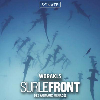 Requins By Worakls's cover