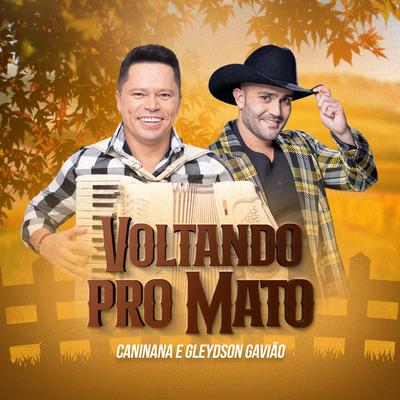 Voltando pro Mato By Caninana, Gleydson Gavião's cover