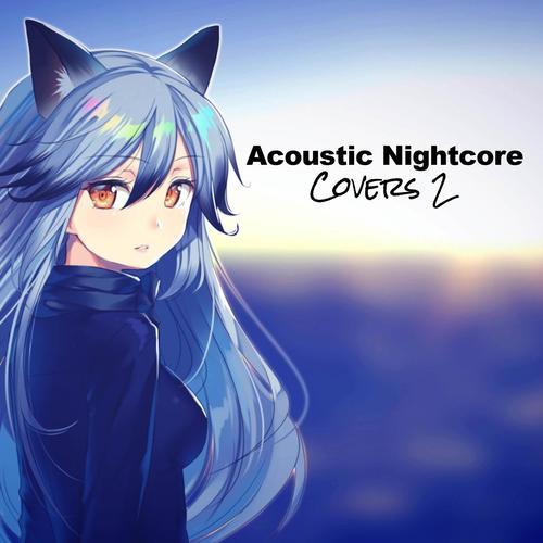 Summertime Friends (Nightcore Acoustic) Official Tiktok Music