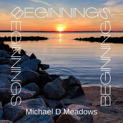Ebb and Flow By Michael D Meadows's cover