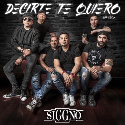 Decirte Te Quiero (En Vivo)'s cover