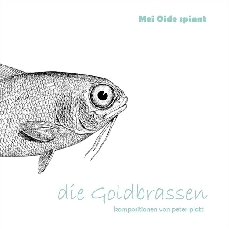 Die Goldbrassen's avatar image