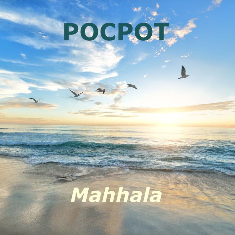 POCPOT's avatar image