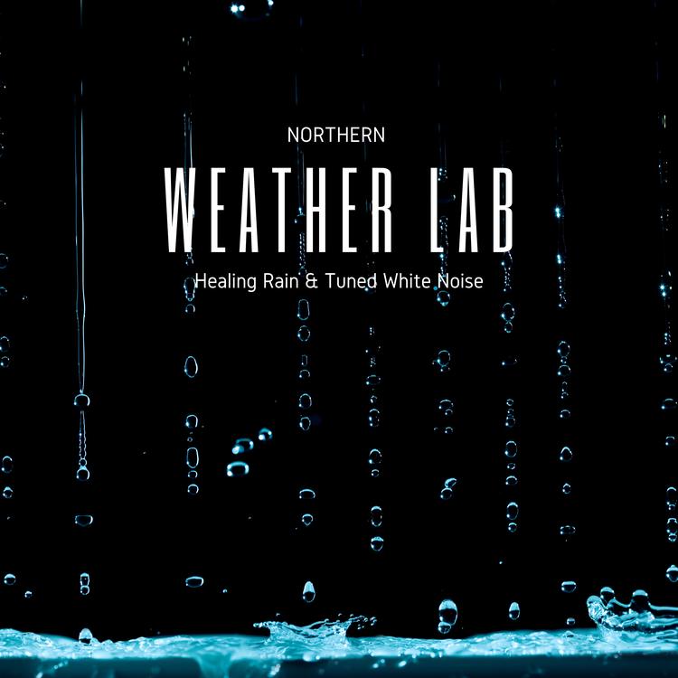 NORTHERN WEATHER LAB's avatar image