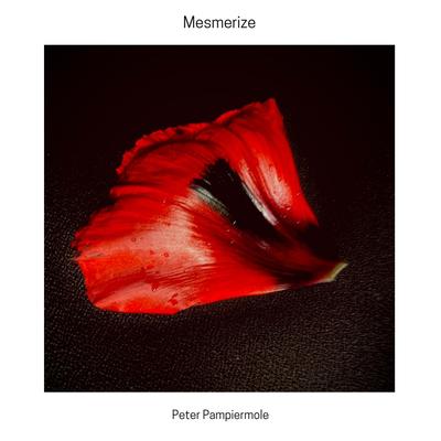 Peter Pampiermole's cover