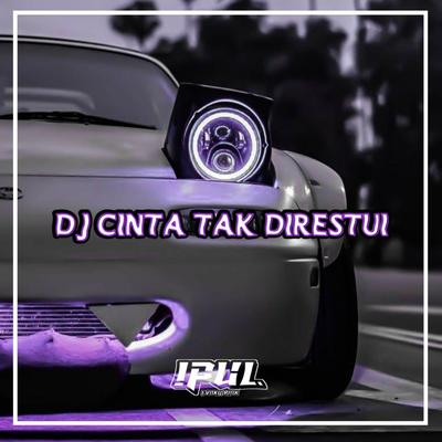DJ CINTA TAK DIRESTUI's cover