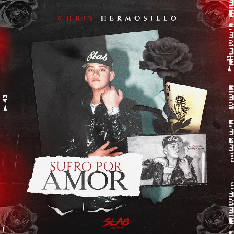 Chris Hermosillo's avatar image