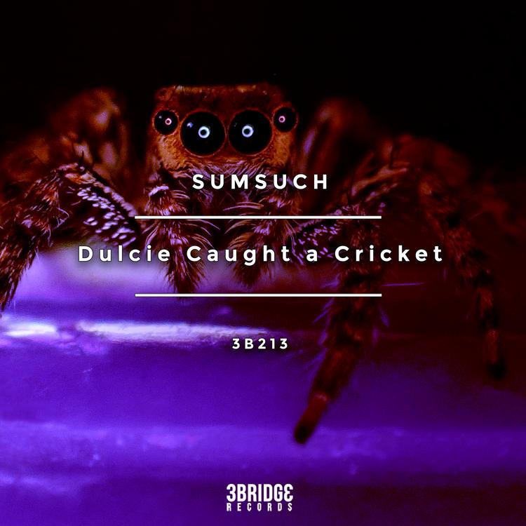 Sumsuch's avatar image