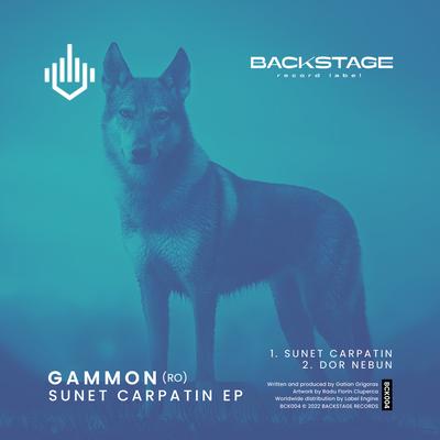 Sunet Carpatin EP's cover