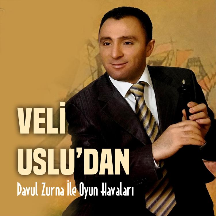 Veli Uslu's avatar image