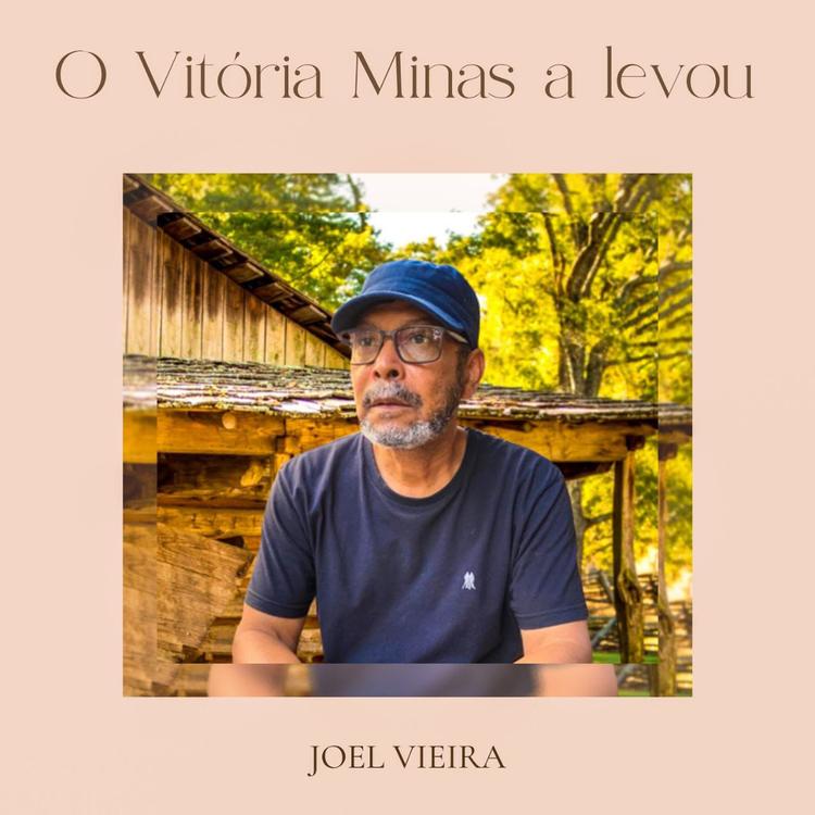 Joel vieira dos santos's avatar image