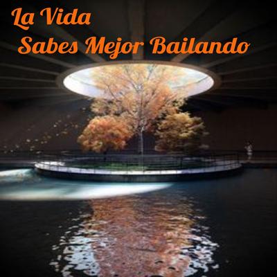 Bailar Es Un Arte By Dj Perreo Mix's cover