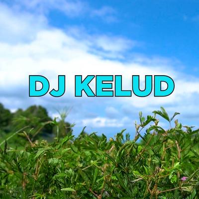 DJ EGO KELUD PRODUCTION REMIX's cover