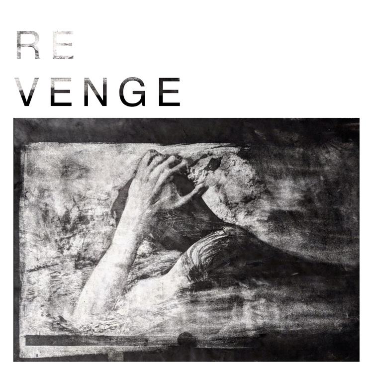 THE REVENGE's avatar image