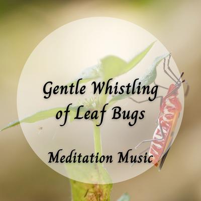 Nature Music: Gentle Whistling of Leaf Bugs's cover