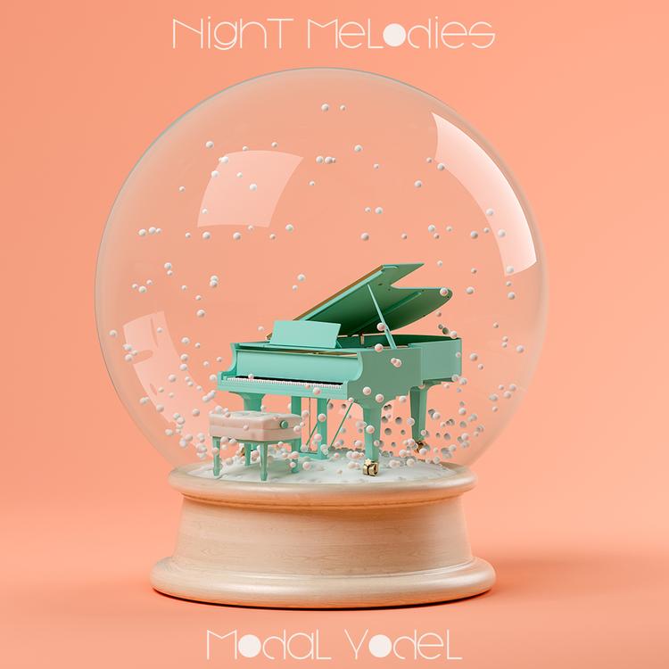 Night Melodies's avatar image