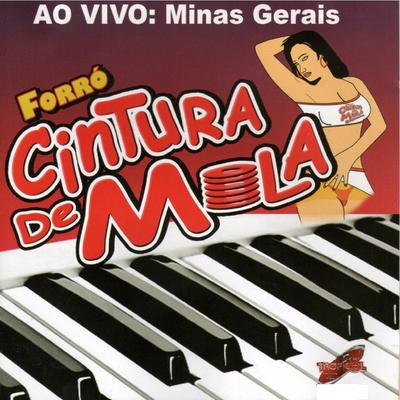 Ao Vivo: Minas Gerais's cover
