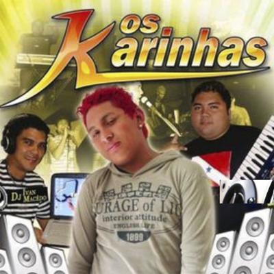 Desculpe Por Te Amar By Os Karinhas's cover
