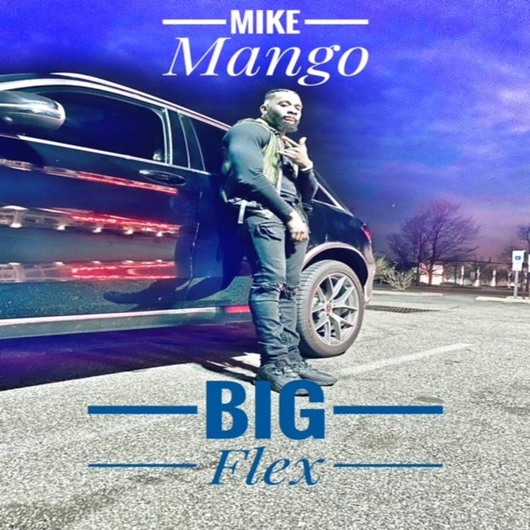 Mike Mango's avatar image