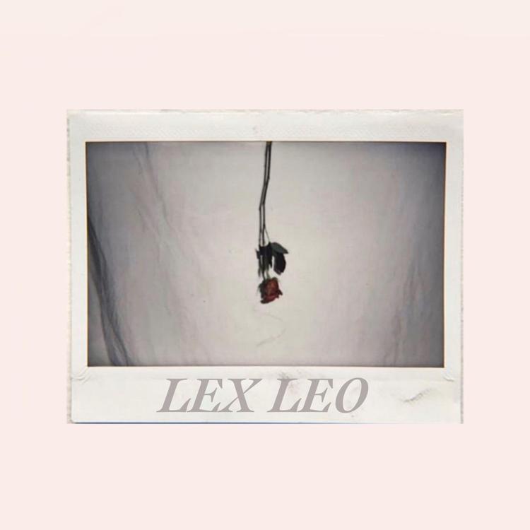 LEX LEO's avatar image